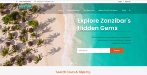 Aerial view of Zanzibar beach with palm trees and turquoise water